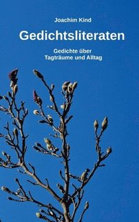 bokomslag Gedichtsliteraten