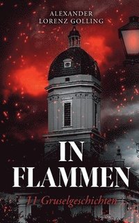 bokomslag In Flammen