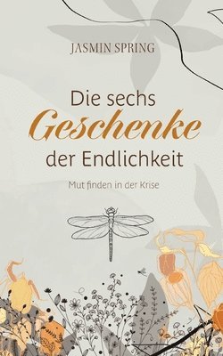 bokomslag Die sechs Geschenke der Endlichkeit