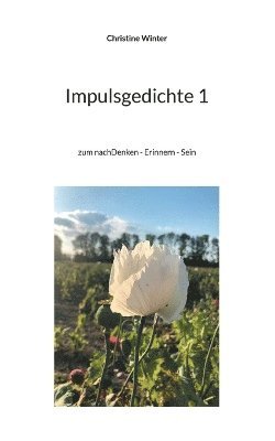 Impulsgedichte 1 1