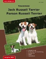 bokomslag Traumrasse Jack Russell Terrier