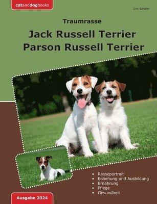 Traumrasse Jack Russell Terrier