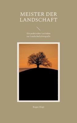 bokomslag Meister der Landschaft