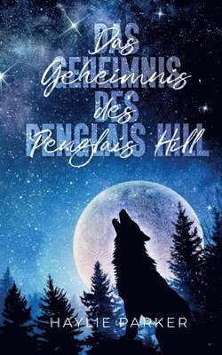 Das Geheimnis des Penglais Hill 1