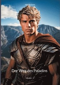 bokomslag Der Weg des Paladins