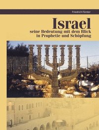 bokomslag Israel Prophetie und Schpfung