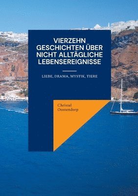 bokomslag Vierzehn Geschichten ber nicht alltgliche Lebensereignisse