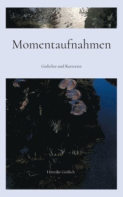 Momentaufnahmen 1