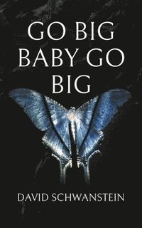 bokomslag Go big baby go big