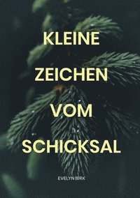 bokomslag Kleine Zeichen vom Schicksal