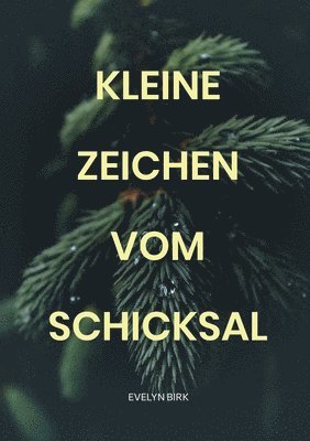 bokomslag Kleine Zeichen vom Schicksal