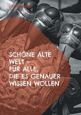 bokomslag Schöne alte Welt für alle, die es genauer wissen wollen