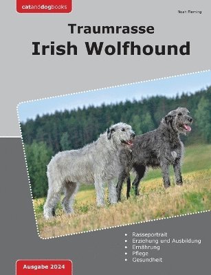 Traumrasse Irish Wolfhound 1