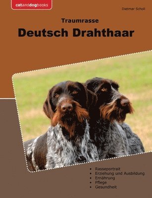 Traumrasse Deutsch Drahthaar 1