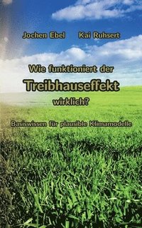 bokomslag Wie funktioniert der Treibhauseffekt wirklich?