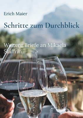 bokomslag Schritte zum Durchblick