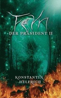 bokomslag Feyn 2