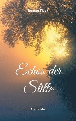 bokomslag Echos der Stille