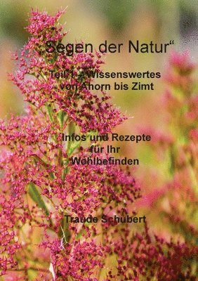 bokomslag Segen der Natur - Teil 1