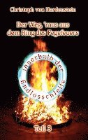 bokomslag Der Weg, ¿raus aus dem Fegefeuer