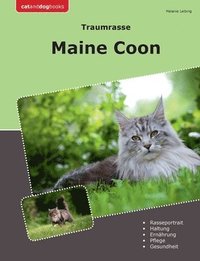 bokomslag Traumrasse Maine Coon