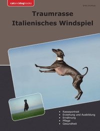 bokomslag Traumrasse Italienisches Windspiel