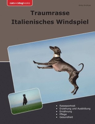 bokomslag Traumrasse Italienisches Windspiel