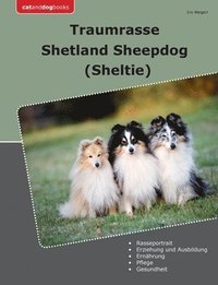 bokomslag Traumrasse Shetland Sheepdog