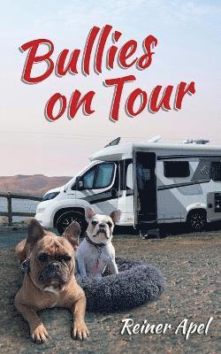 Bullies on Tour 1