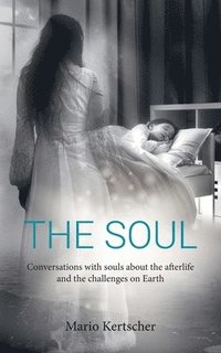 bokomslag The Soul