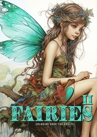 bokomslag Fairies Coloring Book for Adults Vol. 2
