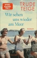 Trude Teige - Wir sehen uns wieder am Meer, Inbunden