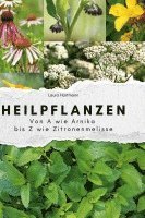 Heilpflanzen 1