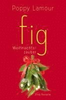 bokomslag fig - Weihnachtszauber