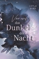 Vor uns das Dunkel der Nacht 1