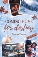 Coming home for destiny: (Love in Alaska 4) 1