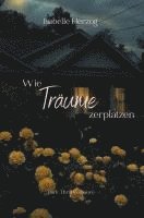 bokomslag Wie Träume zerplatzen