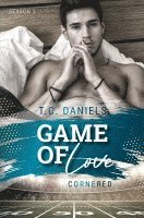 bokomslag Game of Love