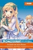 bokomslag Konosuba! God's Blessing On This Wonderful World! Light Novel 06