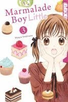 bokomslag Marmalade Boy Little 03