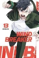 bokomslag Wind Breaker 13