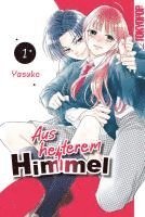 bokomslag Aus heiterem Himmel 01