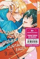 What We Do When the Curtain Falls 03 - Limited Edition