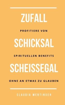 bokomslag Zufall Schicksal Scheiegal