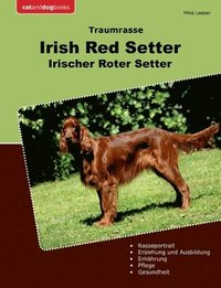 bokomslag Traumrasse Irish Red Setter: Irischer Roter Setter