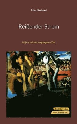bokomslag Reißender Strom