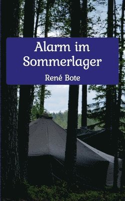 bokomslag Alarm im Sommerlager