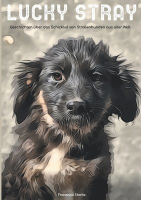 bokomslag Lucky stray