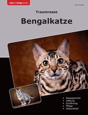 Traumrasse Bengalkatze 1