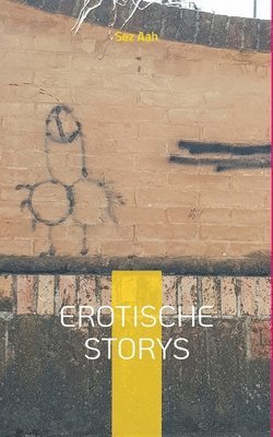 bokomslag Erotische Storys